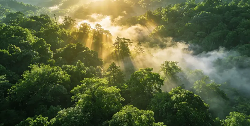 那曲肺癌120基因ctDNA突变检测(血液）图片1