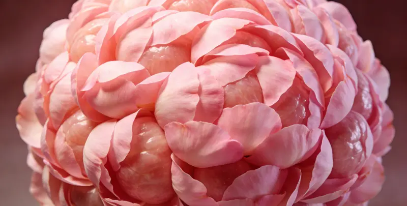 那曲BRCA1/2乳腺癌卵巢癌基因检测图片1